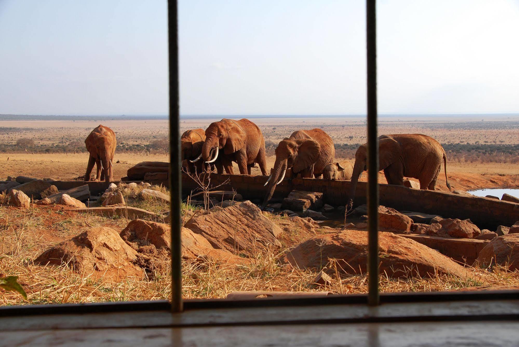 Voi Safari Lodge Zewnętrze zdjęcie